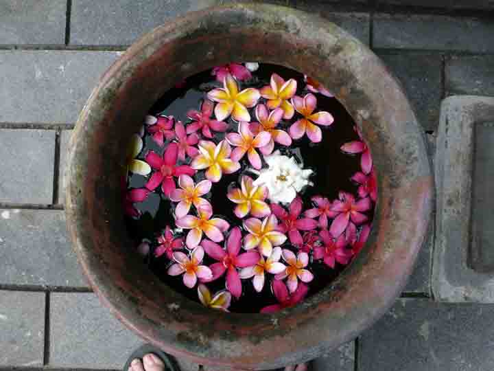 Flower mandala